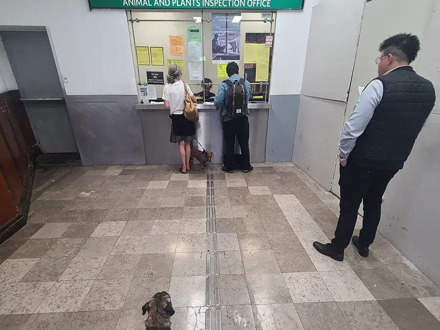 airport process beckham going through the airport process