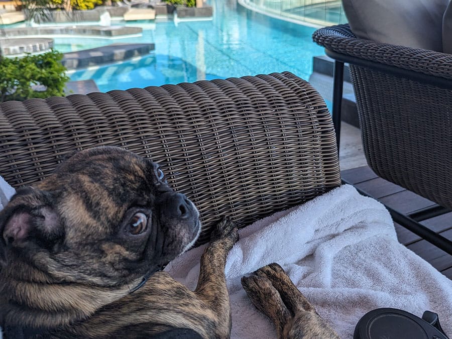 beckham-at-skybar-beach-club