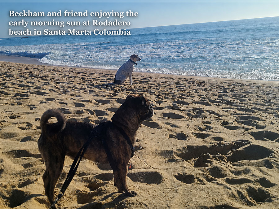 Beckham and his friend on Rodadero beach in Santa Marta Colombia
