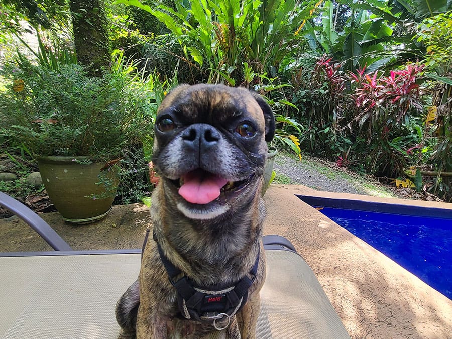 beckham-in-costa-rica Beckham in Costa Rica