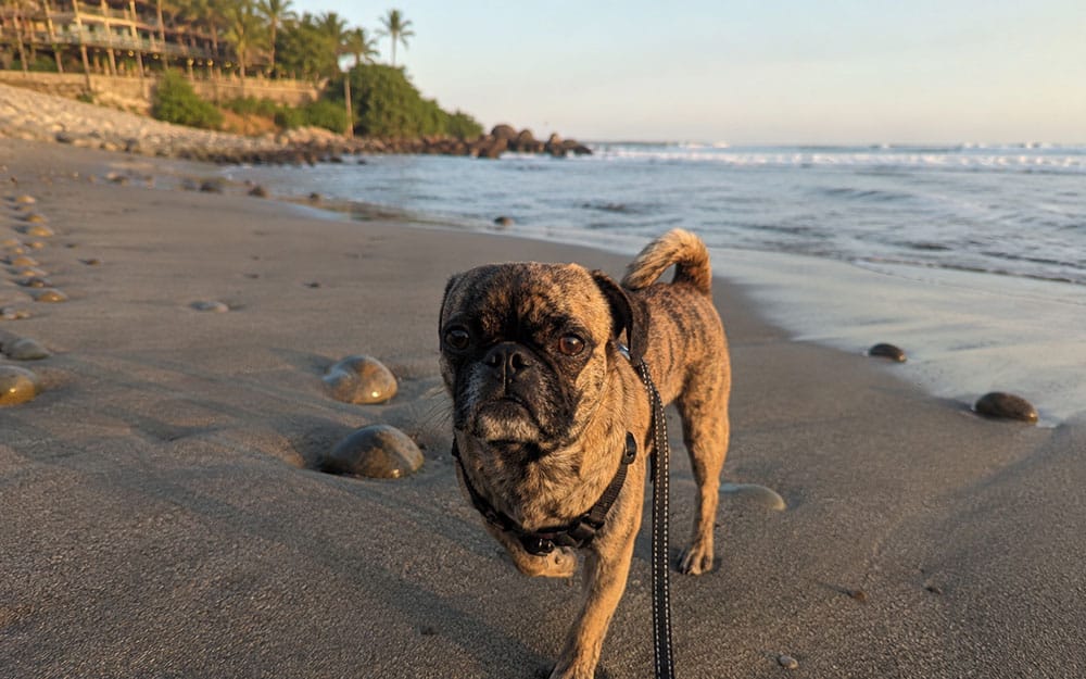 Beckham running down the black sands of El Salvador