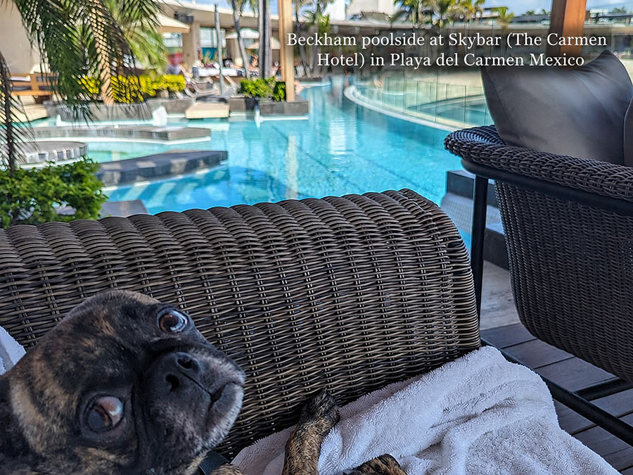 Beckham sitting poolside at SKYBAR located at The Carmen Hotel in Playa del Carmen Mexico