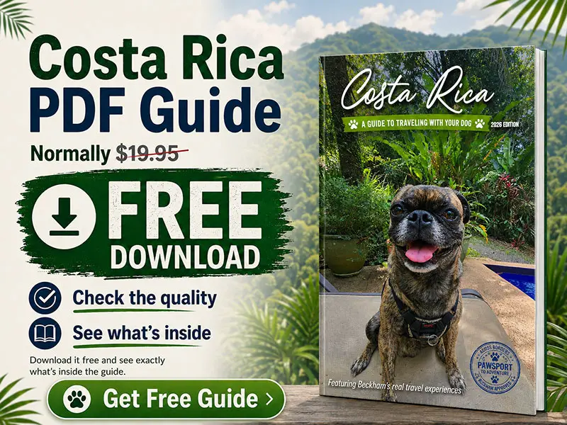 Picture of the Costa Rica traveling with a dog pdf guide featuring beckham