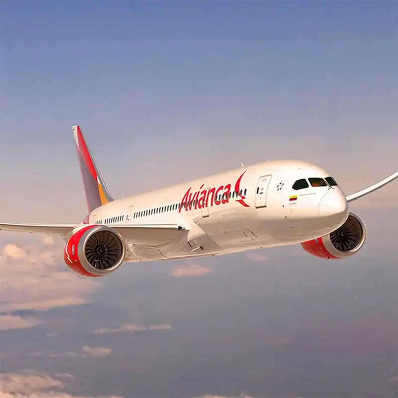 flying with your dog on avianca flying with your dog on avianca