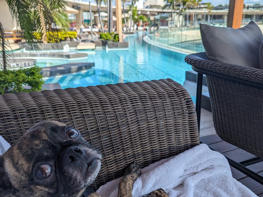 couple-swing A couple on a swing at the beach