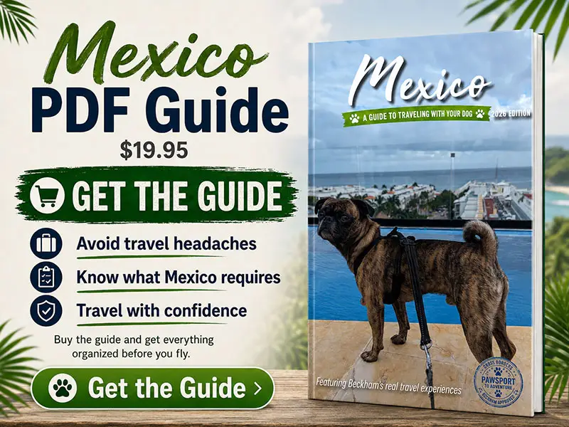 Picture of the Mexico traveling with a dog pdf guide