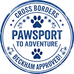 pawsport to adventure logo