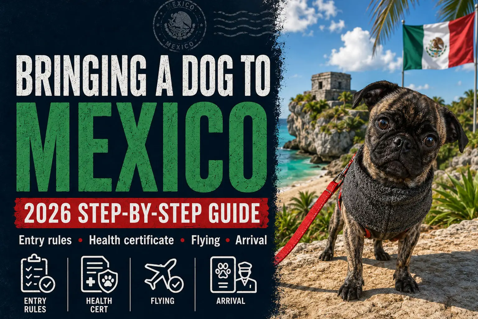 Beckham the golden brindle pug in Tulum Mexico