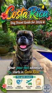 costa rica dog travel guide