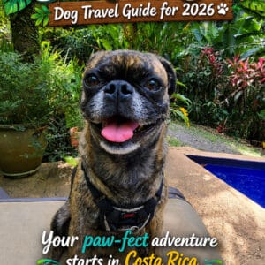 costa rica dog travel guide