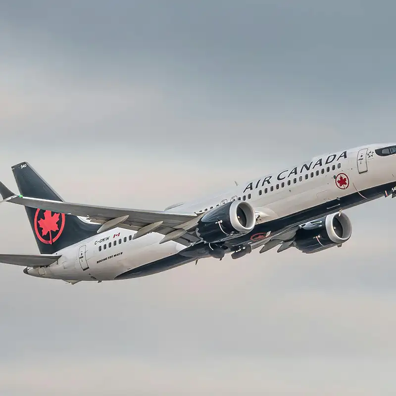 flying with a dog air canada Air Canada jet flying through the sky