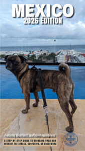 Mexico Dog Travel Guide 2026