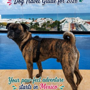 Mexico Dog Travel Guide (PDF)