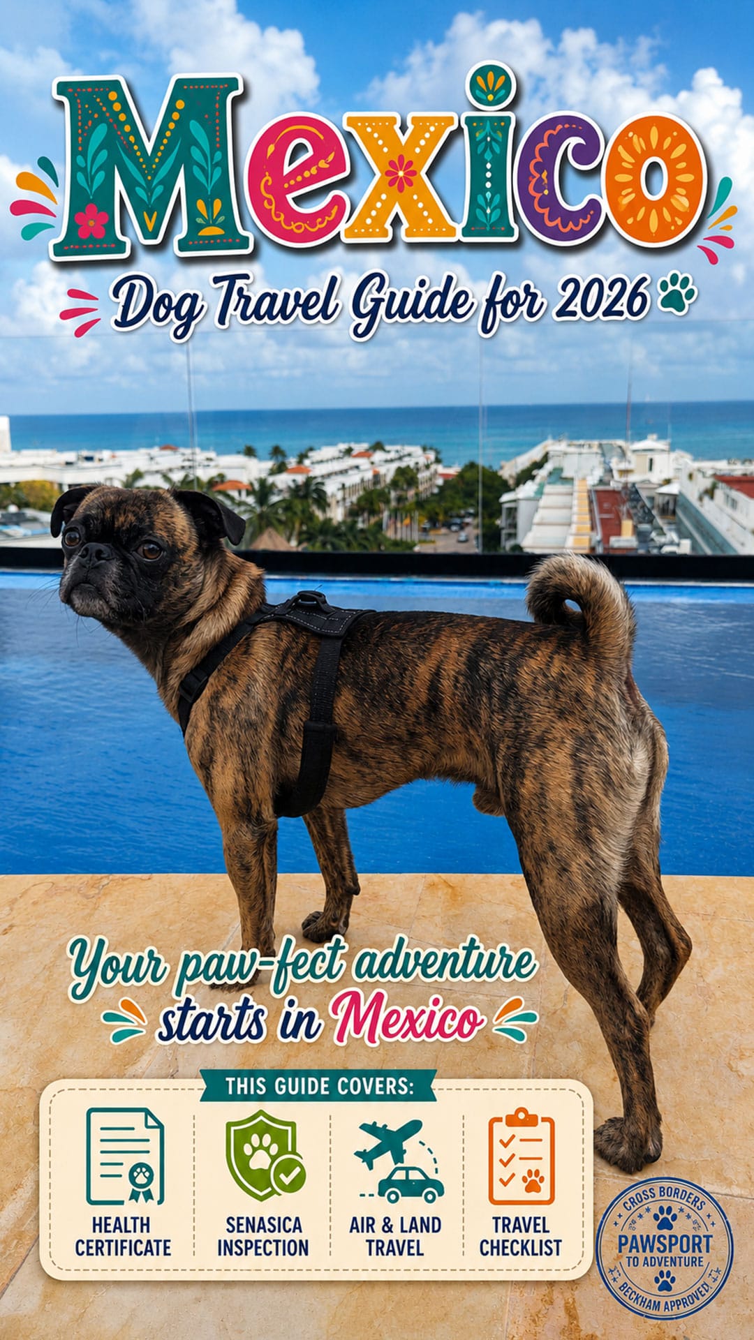 Mexico Dog Travel Guide (PDF)