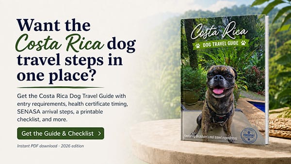 Picture of the front of the Costa Rica Dog travel guide featuring Beckham the golden brindle pug