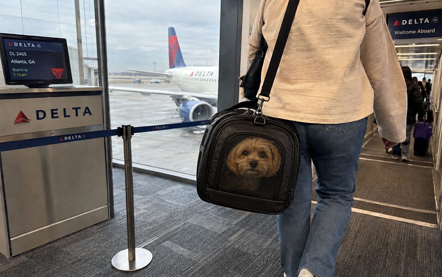 Picture of a man and his dog boarding a Delta Airlines flight