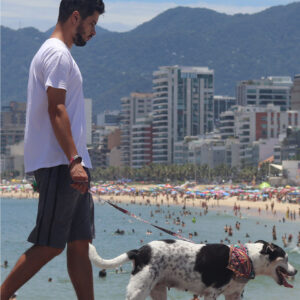 Chile Dog Travel Guide (PDF)