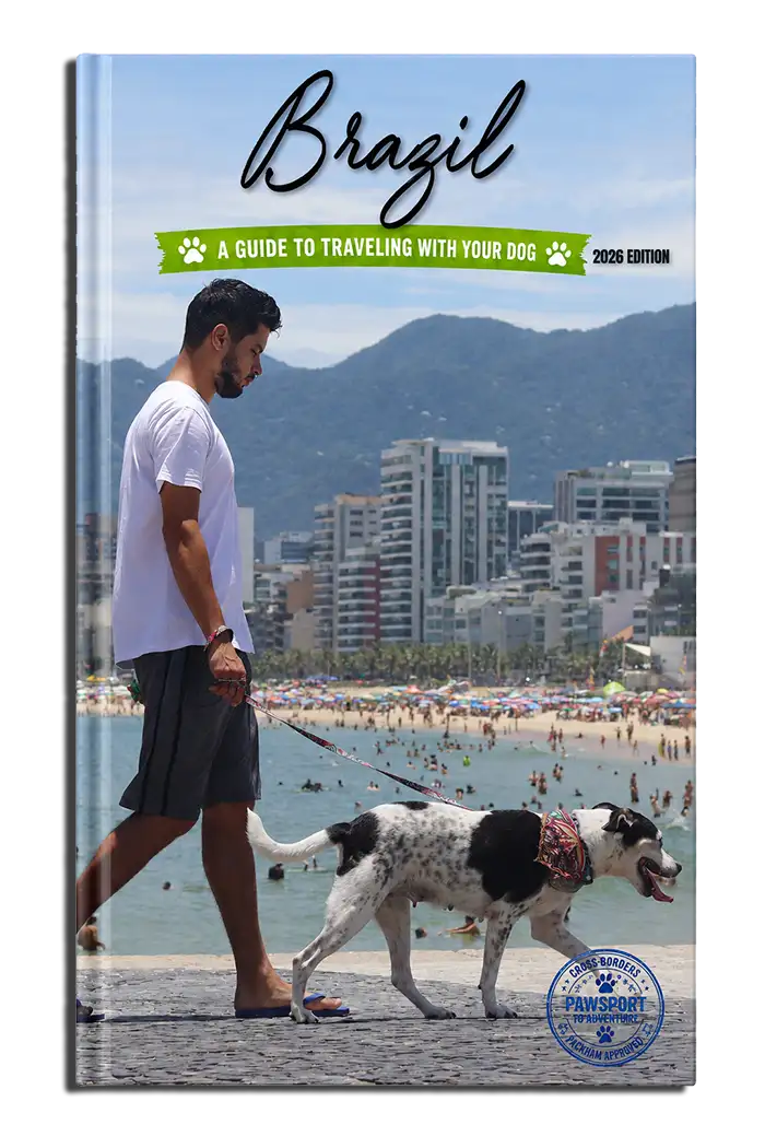 Man walking his dog on the Rio de Janeiro beach in Brazil