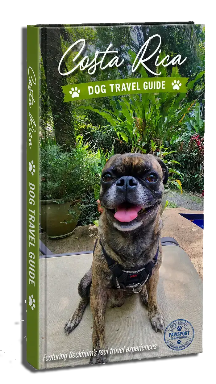 picture of the costa rica dog travel guide with beckham the brindle pug on the cover