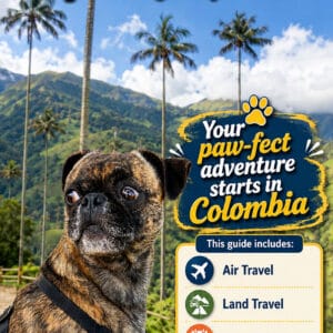 Colombia Dog Travel Guide Cover