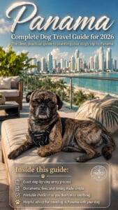 Panama Dog Travel Guide